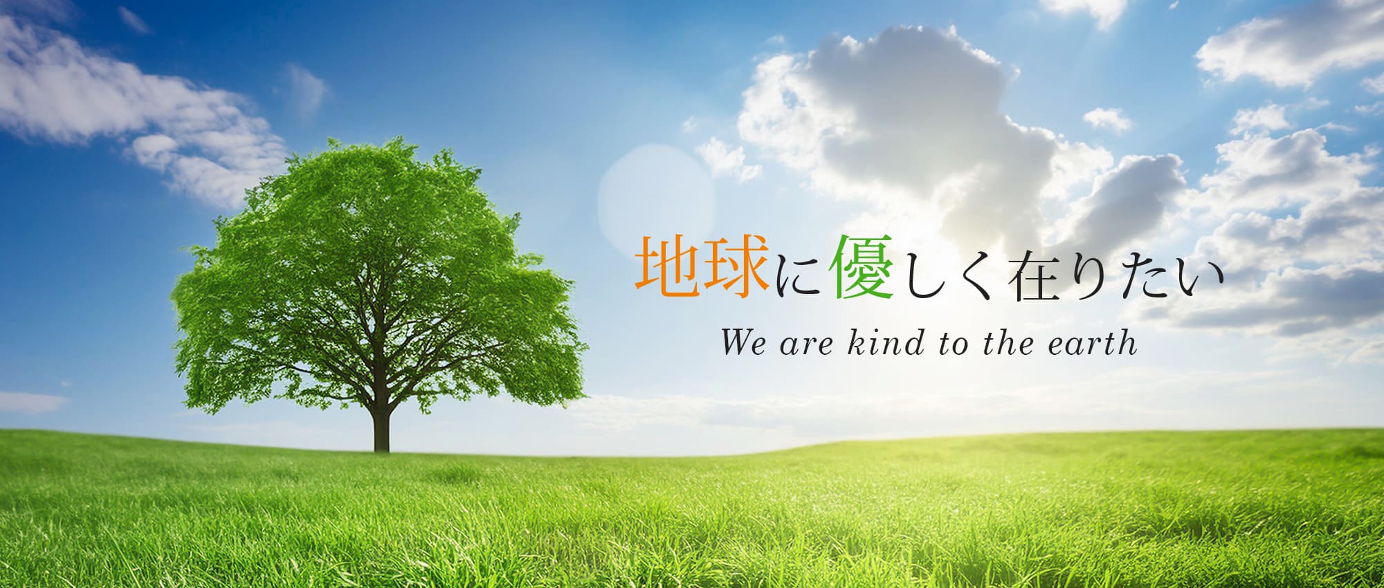 地球に優しく在りたい